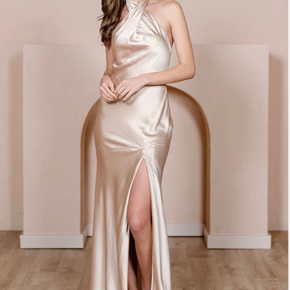 Blush Revelry Silk Dress - Brand New - Size 10 (never worn with tags)